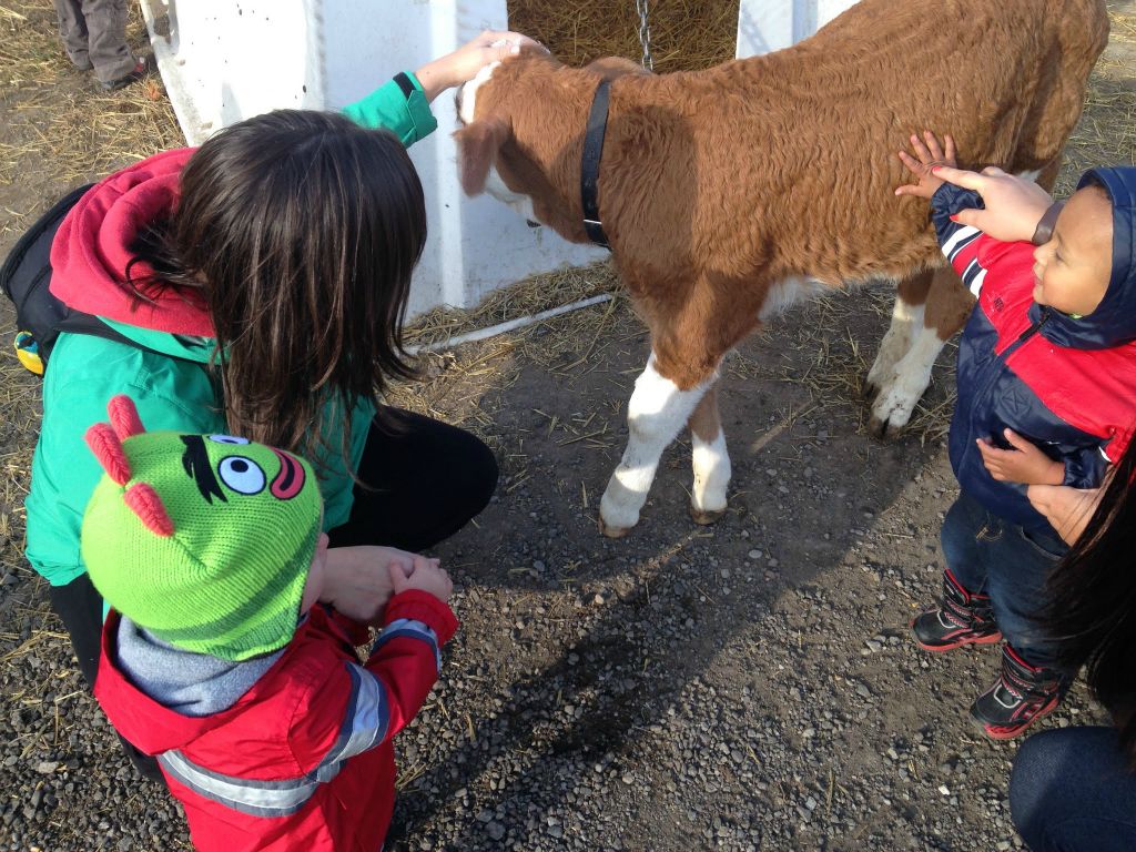 2015-10-25 Shantz farm (6)